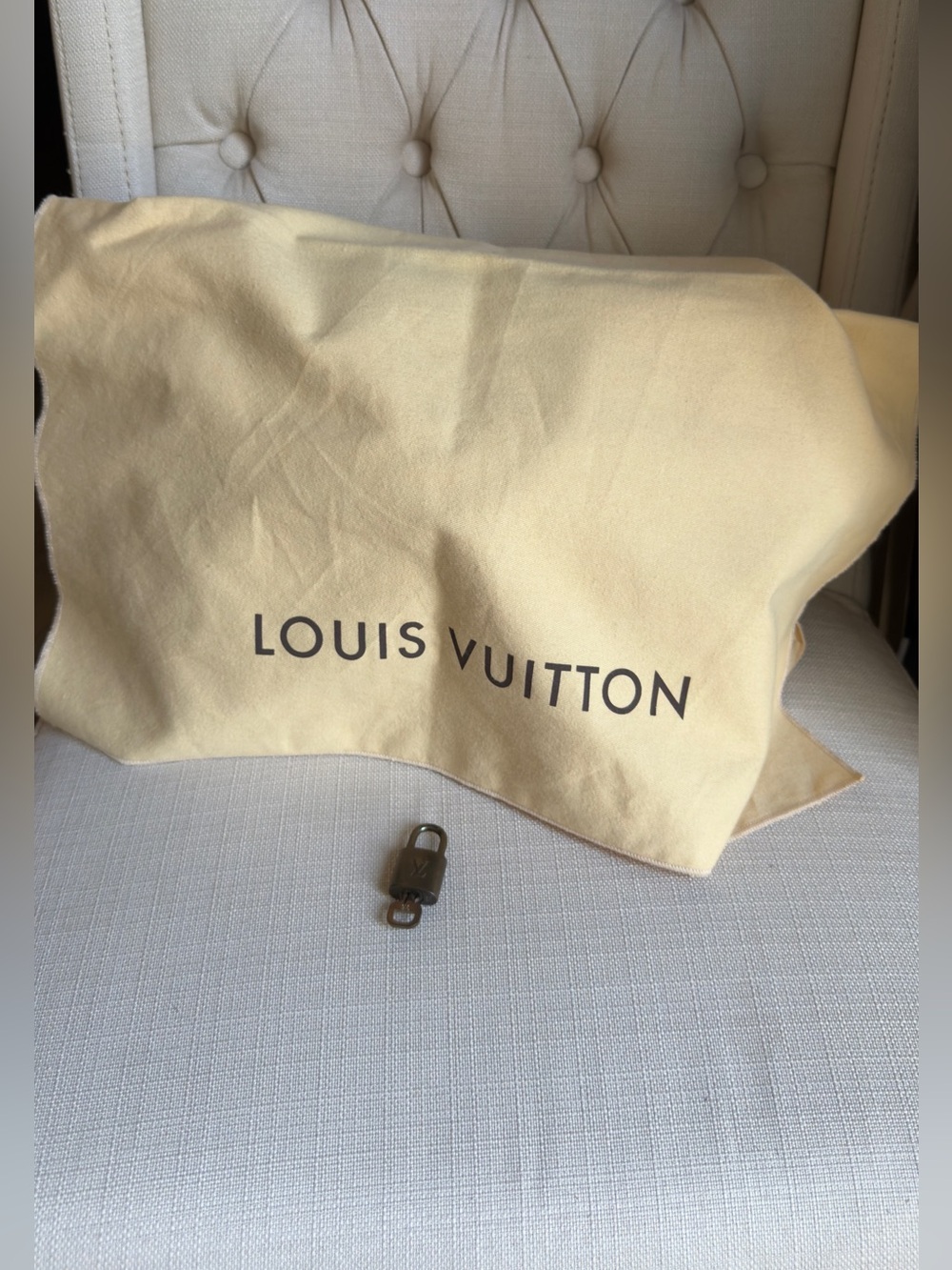Louis Vuitton Speedy 25 Monogram Canvas Lock Key Dust Bag Insert Organizer AUTH! - Picture 16 of 16